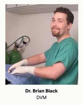 Dr Brian Black headshot