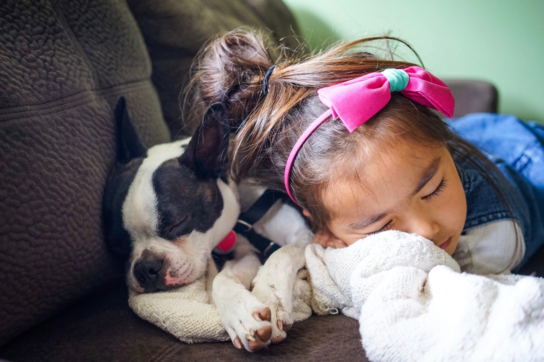 A young girl takes a nap with her dog.