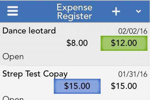 Viewing expenses through the OFW mobile app