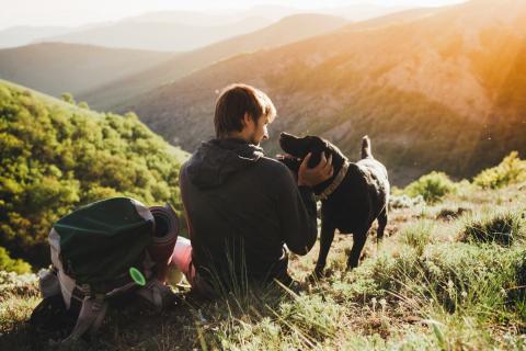 A man sits in the grass after walking his dog.