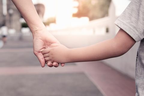 Parent holds the hand of a young child