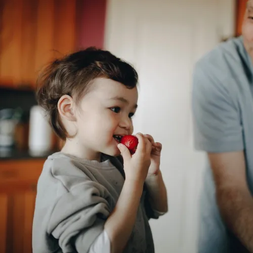 A young boy eats a strawberry while his father leans over to watch.