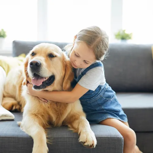 Little girl hugging a Golden Retriever.