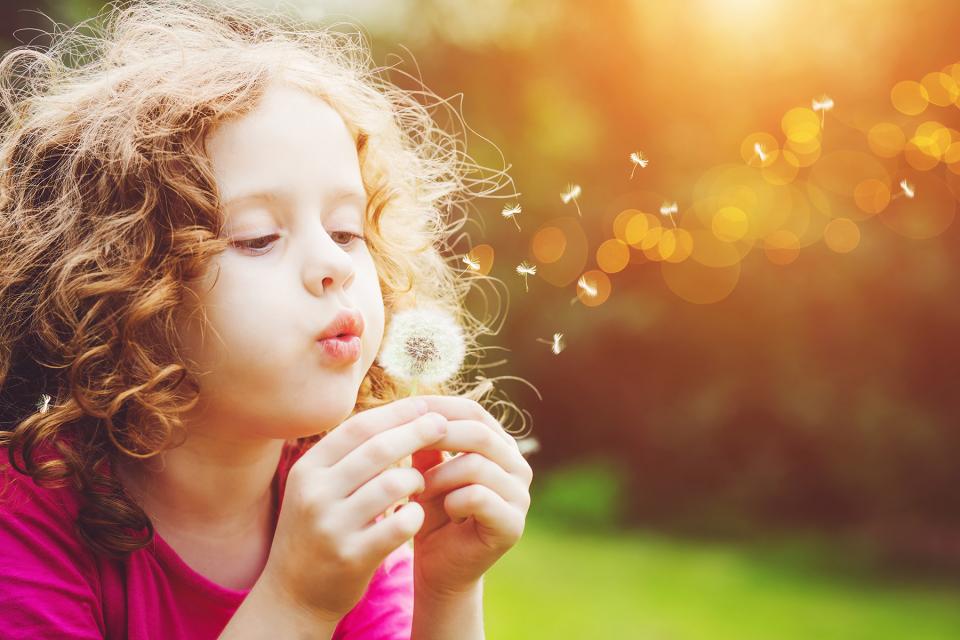 Young girl blows dandelion seeds through the air