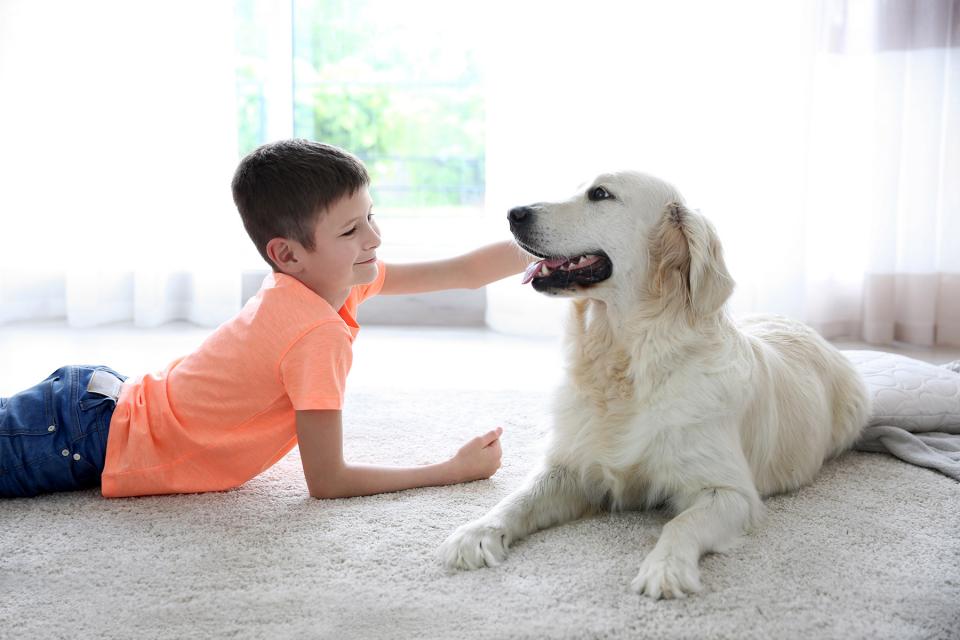 Boy lies on living room floor while petting his golden retriever.