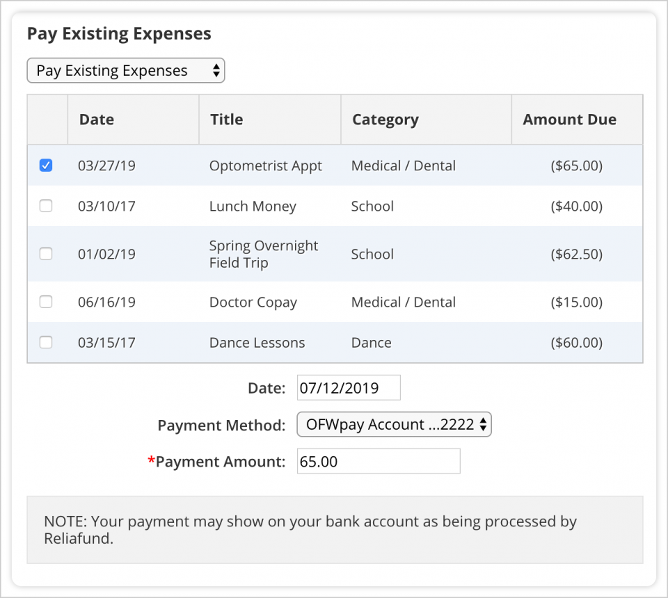 Making a New Payment
