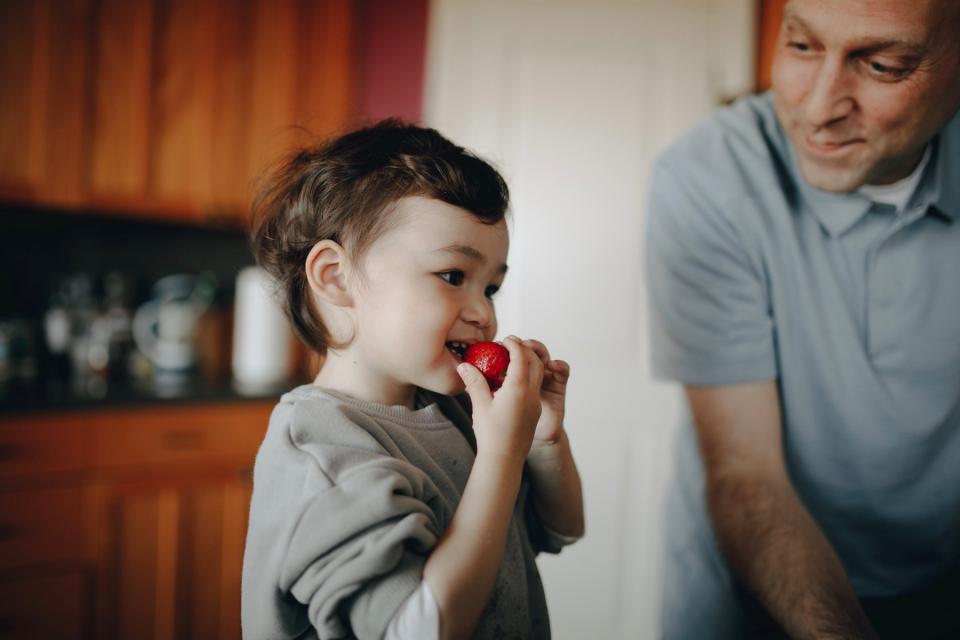 A young boy eats a strawberry while his father leans over to watch.